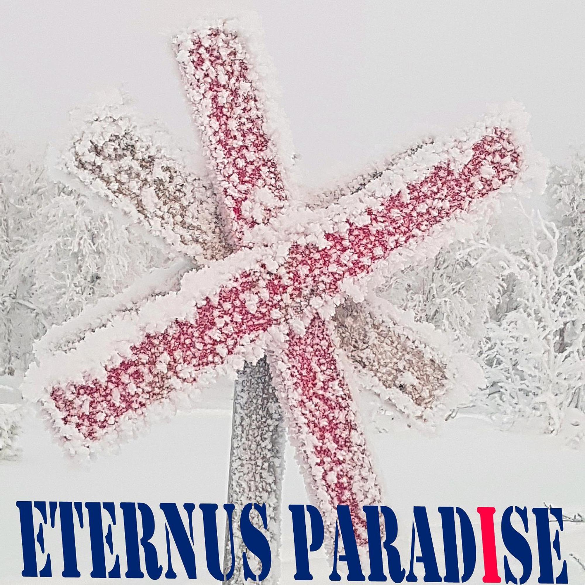 Eternus Paradise Tärnaby المظهر الخارجي الصورة